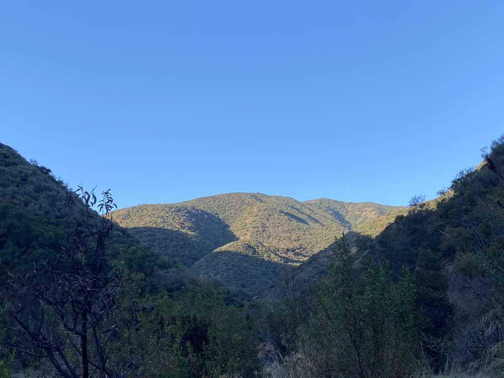 NEW SONG , QUOTE,BACKSTORY ,ARCHIVE&nbsp;,THOUGHTS